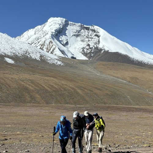 img (11)