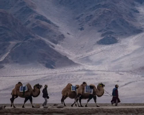 quick-escape-to-ladakh-6-1